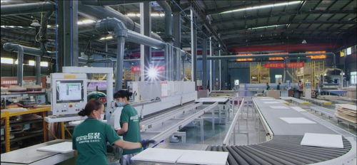 兔宝宝易装为梦筑家 守护健康童年，护航成长每一步